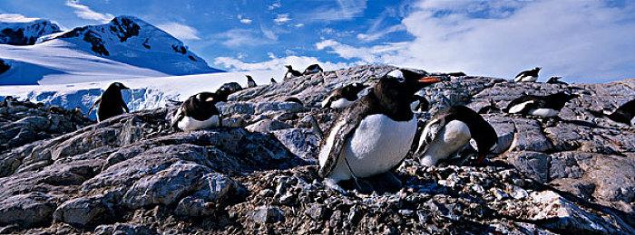 TGA：《战锤40K：星际战士2》9月9日发售